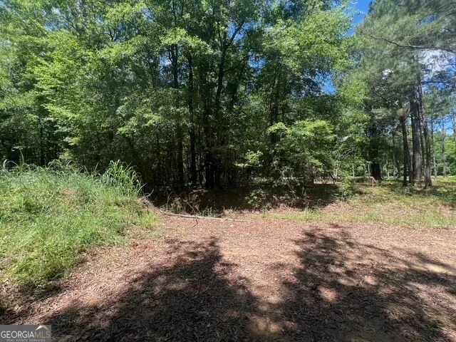 a view of a yard with a tree