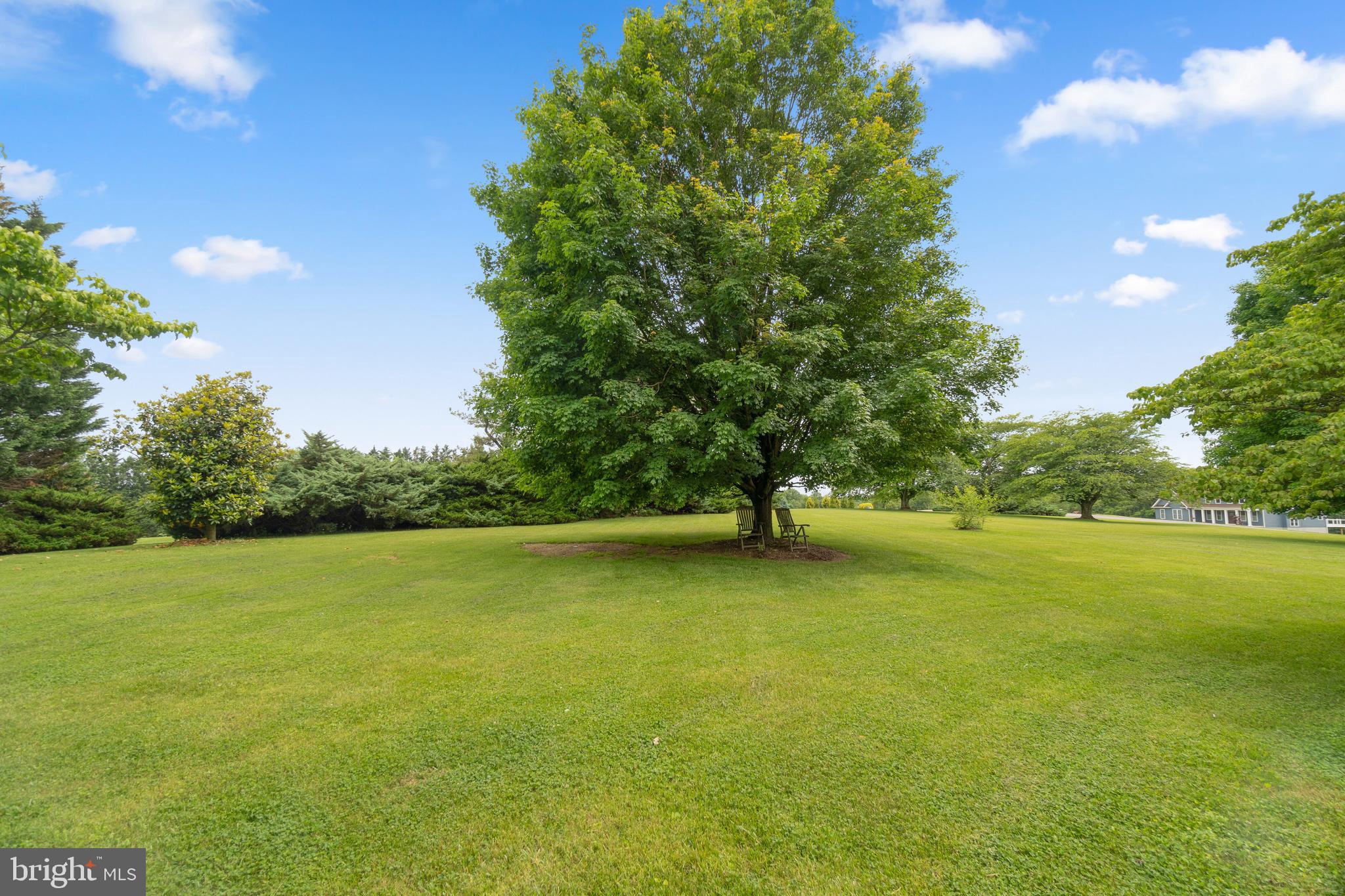 1885 Florence Road Mount Airy, MD 21771 - Photo 48 of 53 Yard