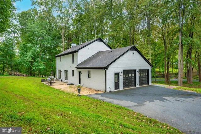 a view of a park with large trees