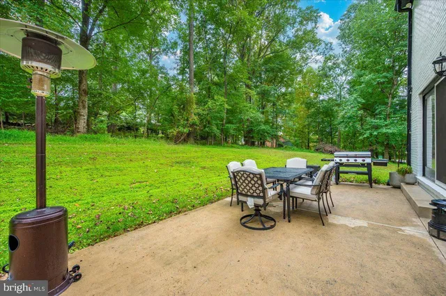 a view of outdoor space with trees all around