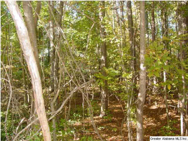 Old Choccolocco Road, Unit 73 Anniston, AL 36207 - Photo 30 of 30