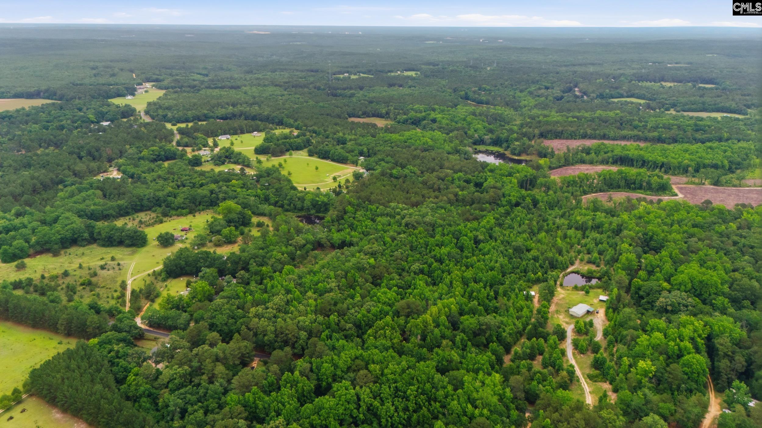 Tbd Basil Road Swansea, SC 29160 - Photo 15 of 19