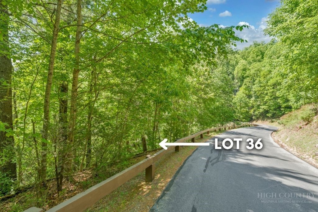 Lot 36 Daisy Ridge Road Banner Elk, NC 28604 - Photo 2 of 34 Gallery Image 2