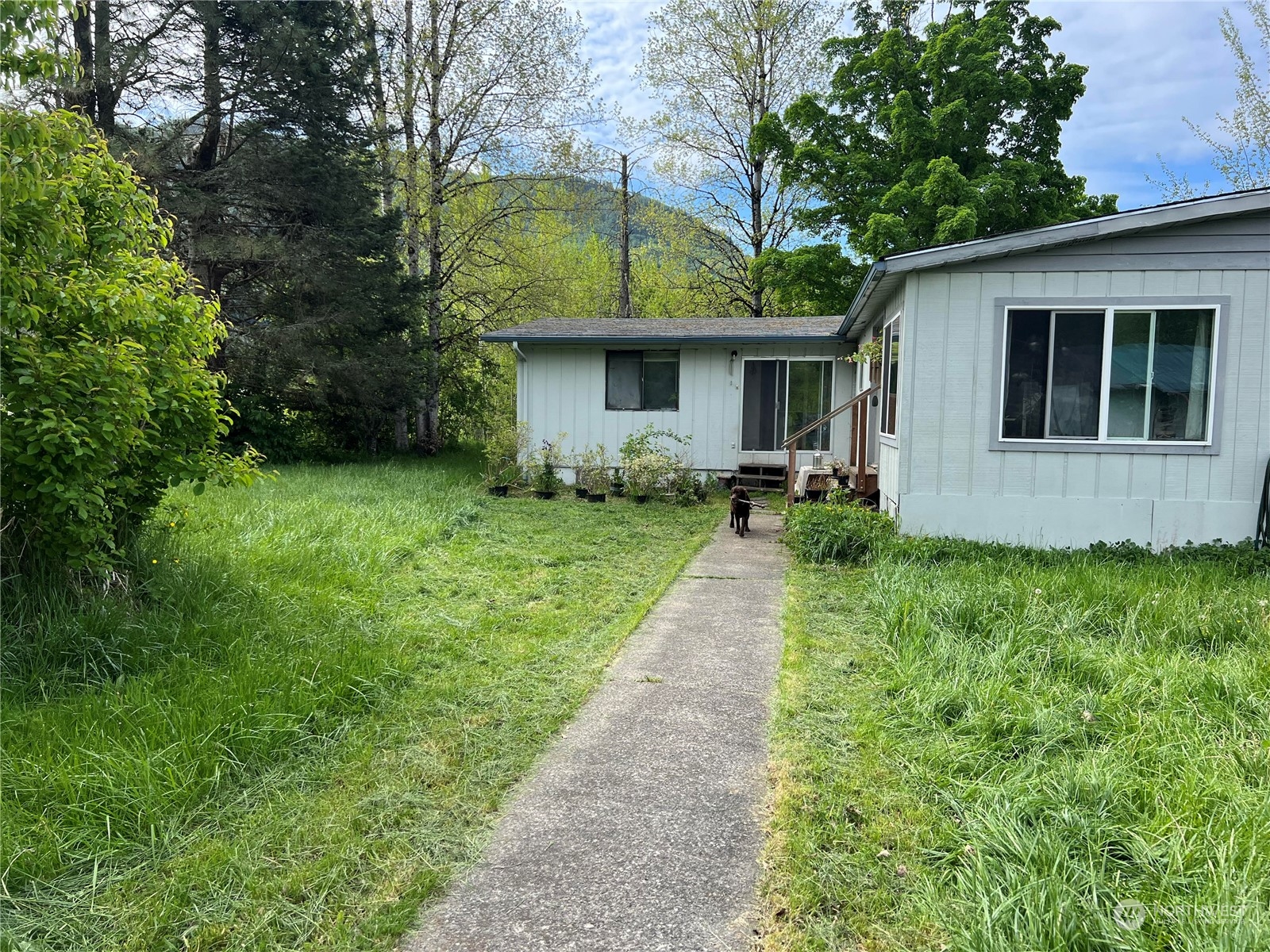 a view of a yard in front of house