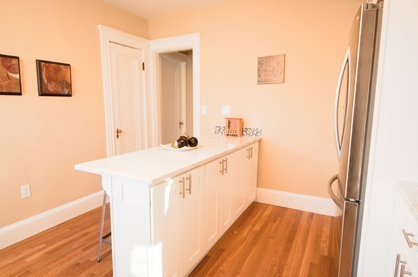7 Hampstead Road, Unit 2 Boston, MA 02130 - Photo 8 of 21 Gallery Image 8