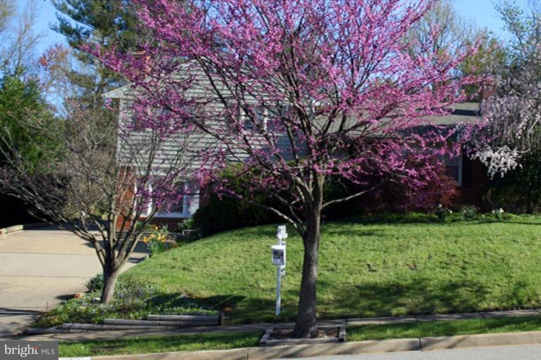 8104 Adair Lane Springfield, VA 22151 - Photo 6 of 30 Exterior #4