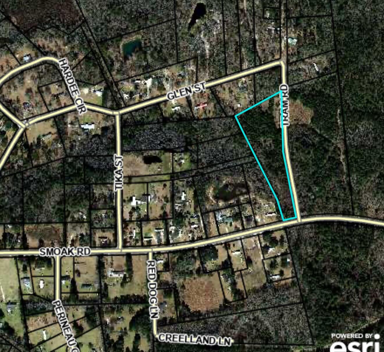 0 Smoak Road Walterboro, SC 29488 - Photo 11 of 12 IMG_4136