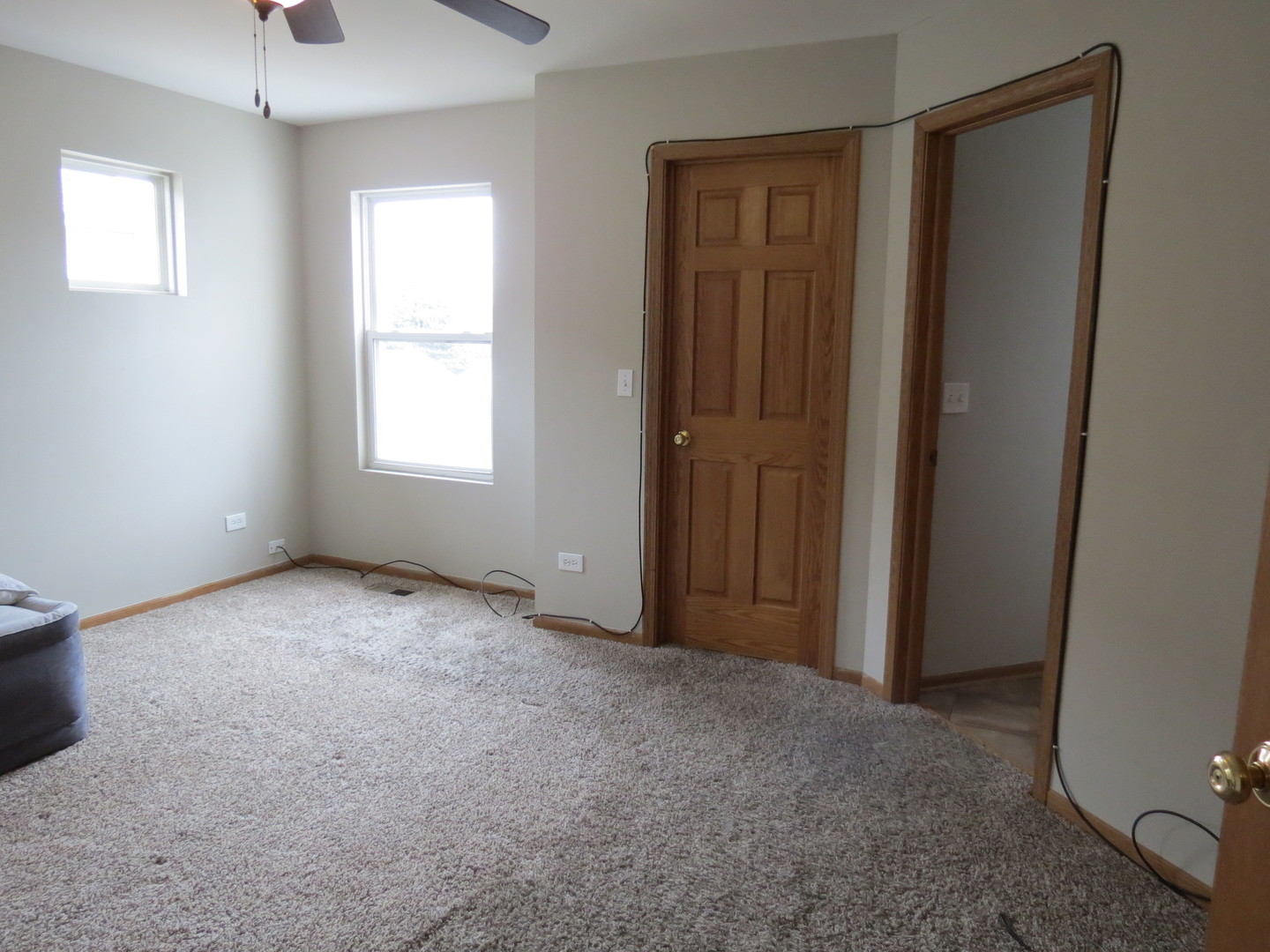 191 Mountain Laurel Court Romeoville, IL 60446 - Photo 17 of 29 an empty room with windows and closet