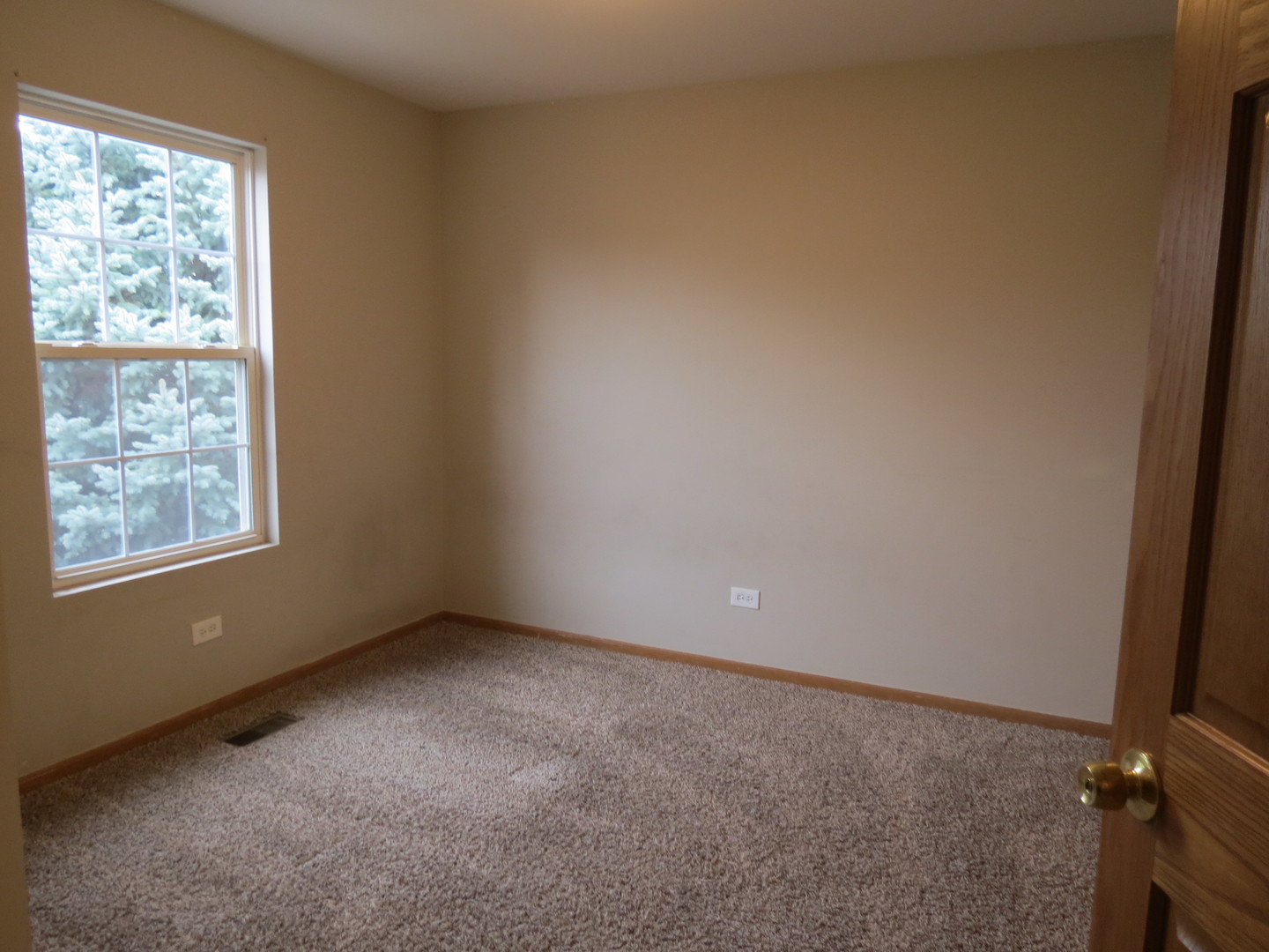 191 Mountain Laurel Court Romeoville, IL 60446 - Photo 21 of 29 an empty room with a window