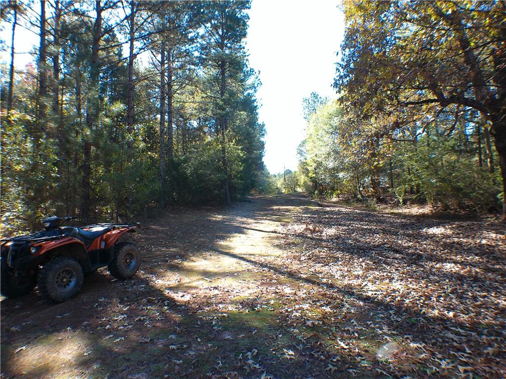 0 Dusty Road Bowman, GA 30624 - Photo 5 of 8 Gallery Image 5