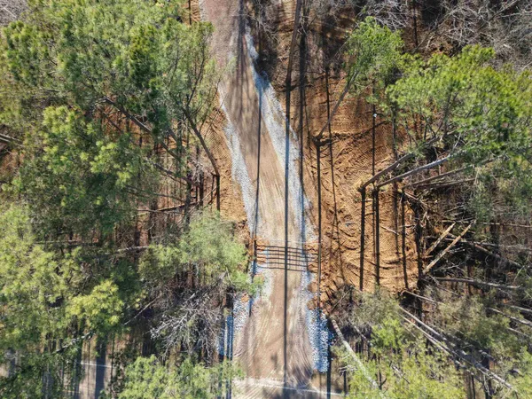 a view of a city with tall trees