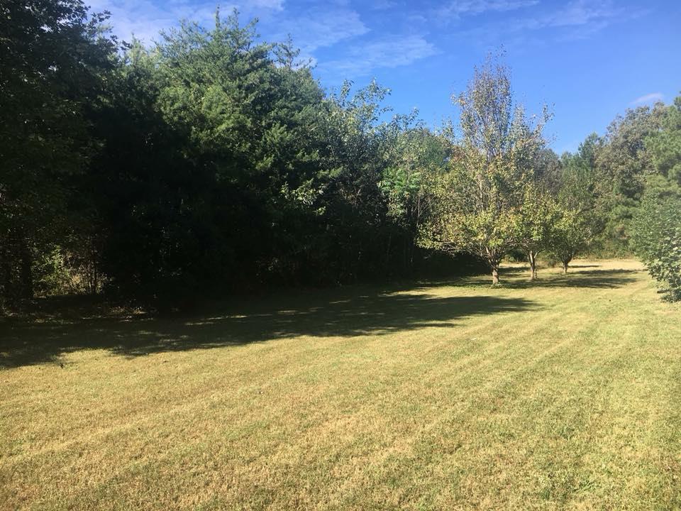 795 Old Seminary Road Manchester, TN 37355 - Photo 17 of 19 2.06 Acres. Clear land and lots of trees