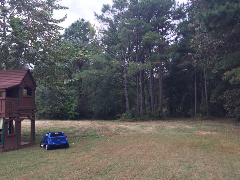 795 Old Seminary Road Manchester, TN 37355 - Photo 18 of 19 More pics of land