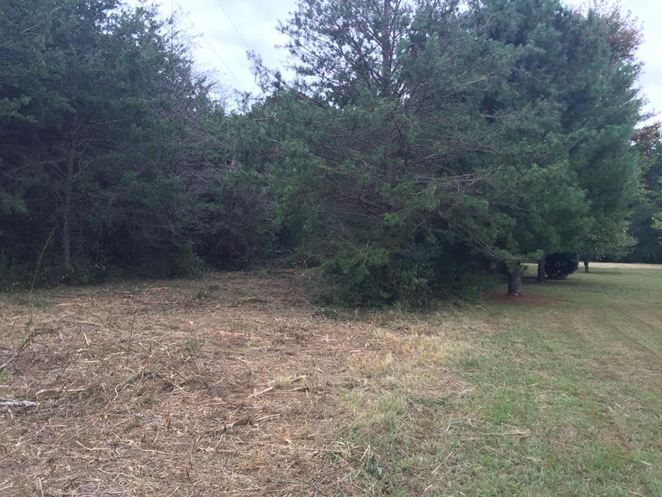 795 Old Seminary Road Manchester, TN 37355 - Photo 19 of 19 and more pics of land