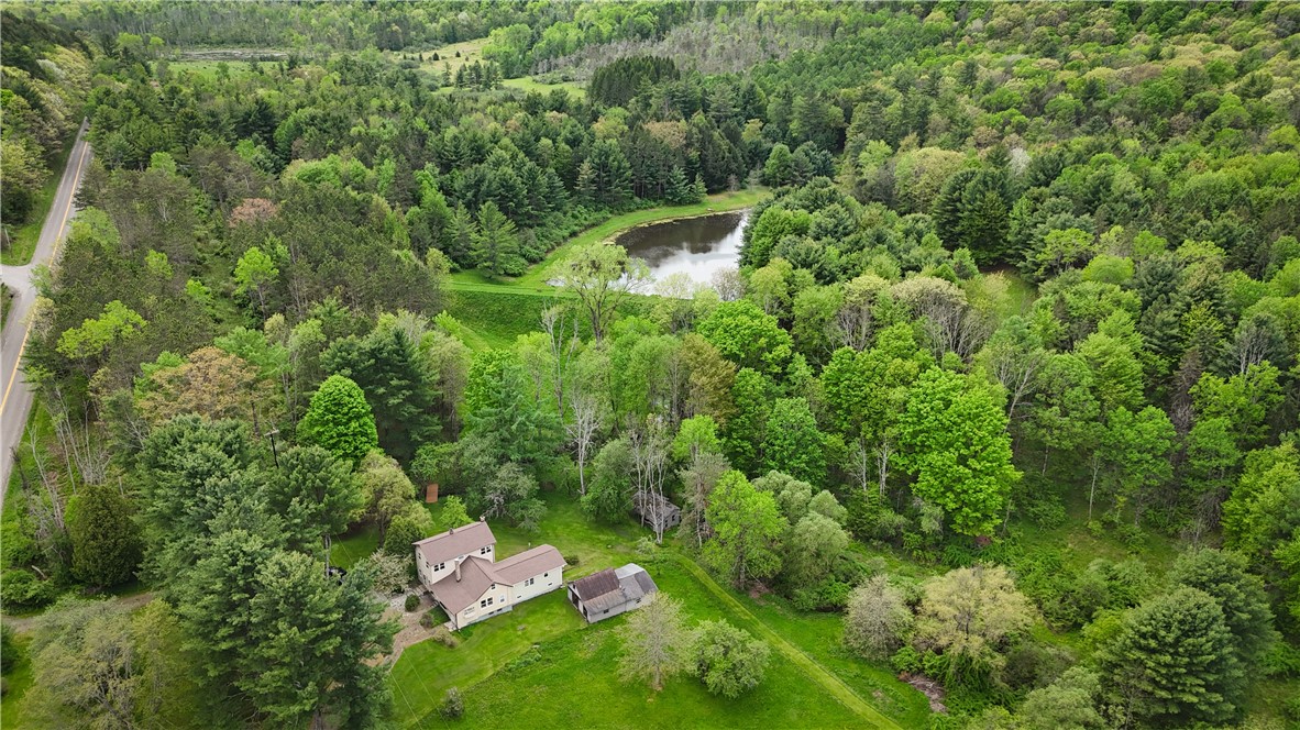 450 Dean Creek Road Spencer, NY 14883 - Photo 4 of 50