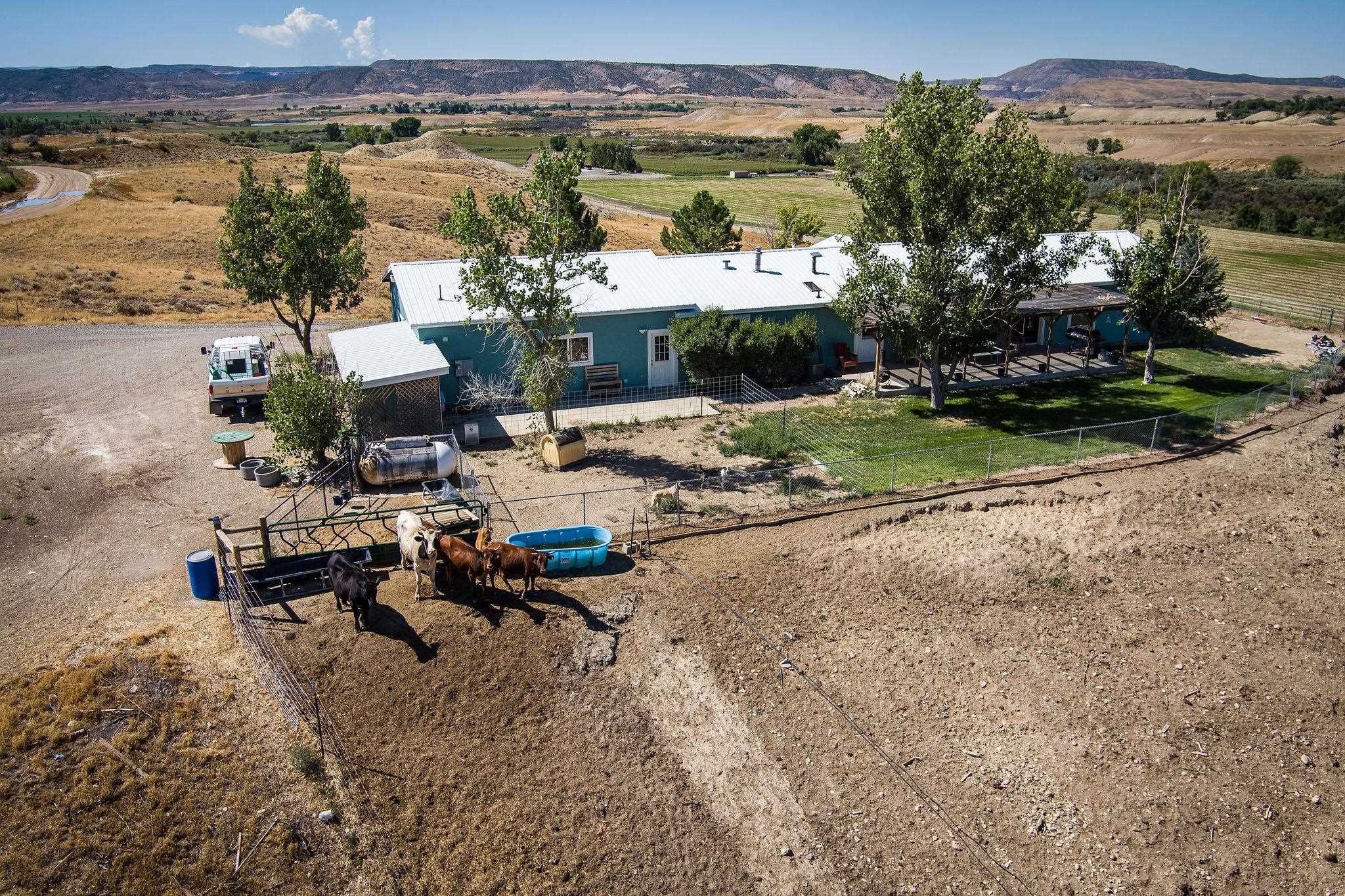 1129 Q Road Loma, CO 81524 - Photo 33 of 42