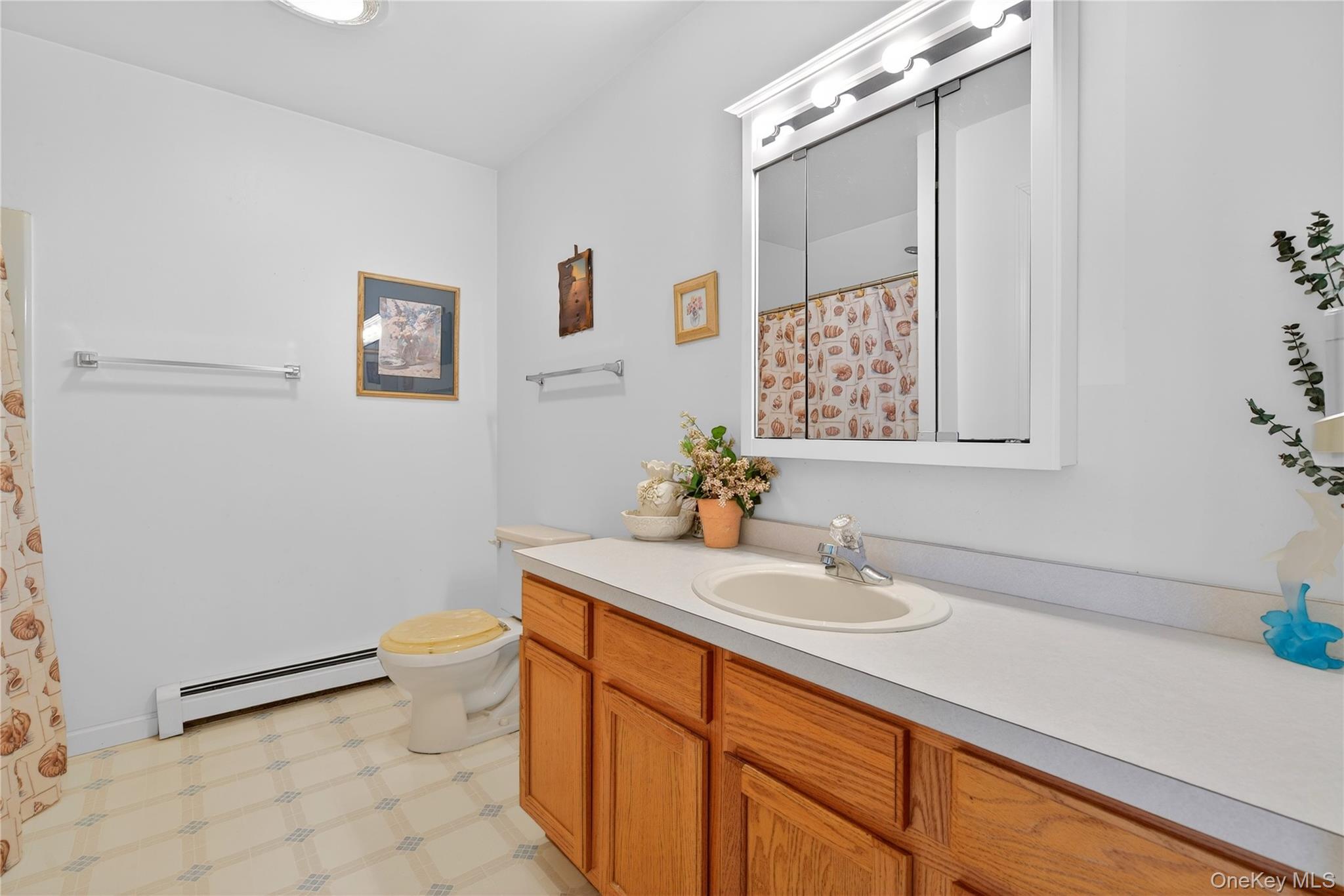 1044 Blue Mountain Road Saugerties, NY 12477 - Photo 21 of 32 a bathroom with a sink a toilet and mirror
