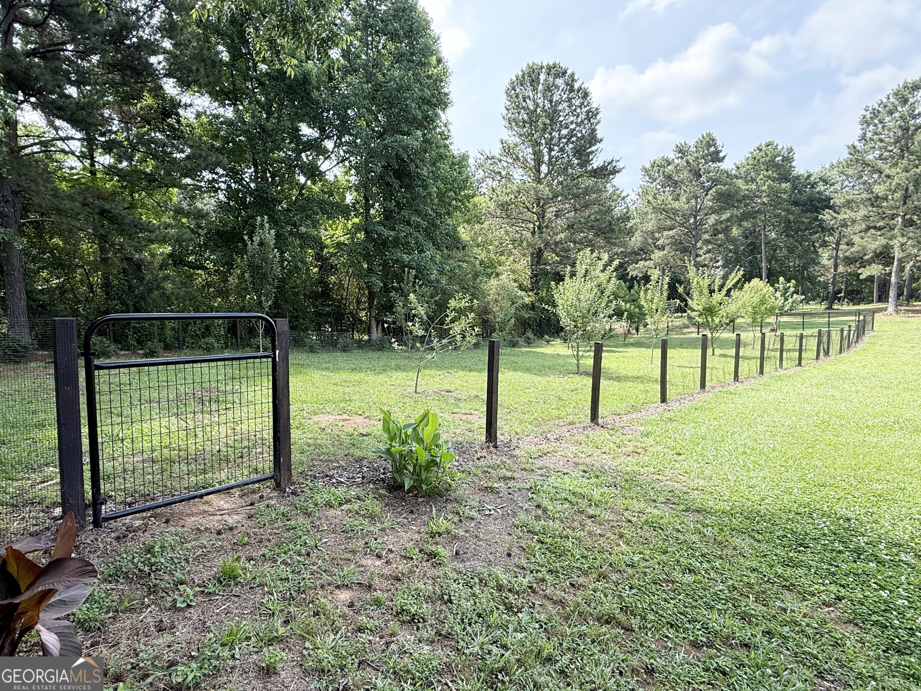 313 Anderson Road Griffin, GA 30223 - Photo 10 of 51