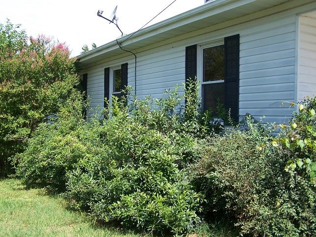 2330 Overlook Road Northeast Roanoke, VA 24012 - Photo 44 of 52 44