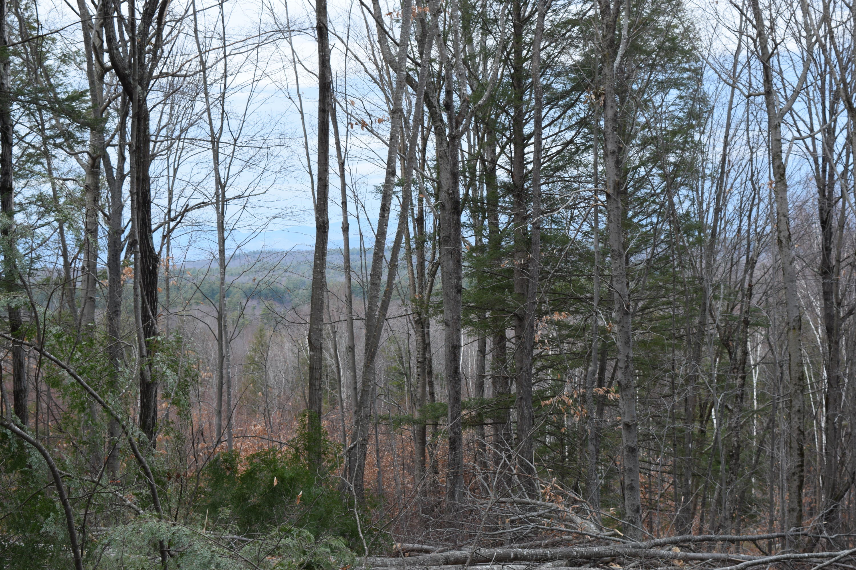 0 Highland Park Road Fryeburg, ME 04037 - Photo 6 of 31 DSC_0001