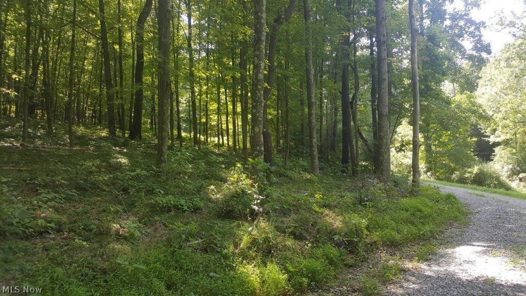 5846 Holmes Church Road Northeast New Philadelphia, OH 44663 - Photo 33 of 34