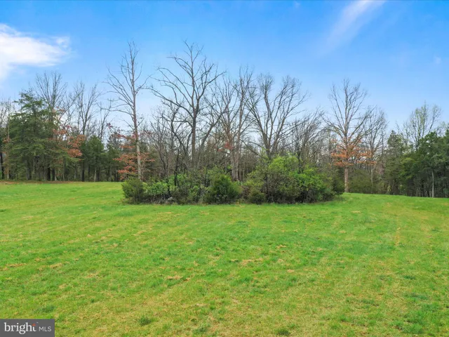 a view of outdoor space and yard