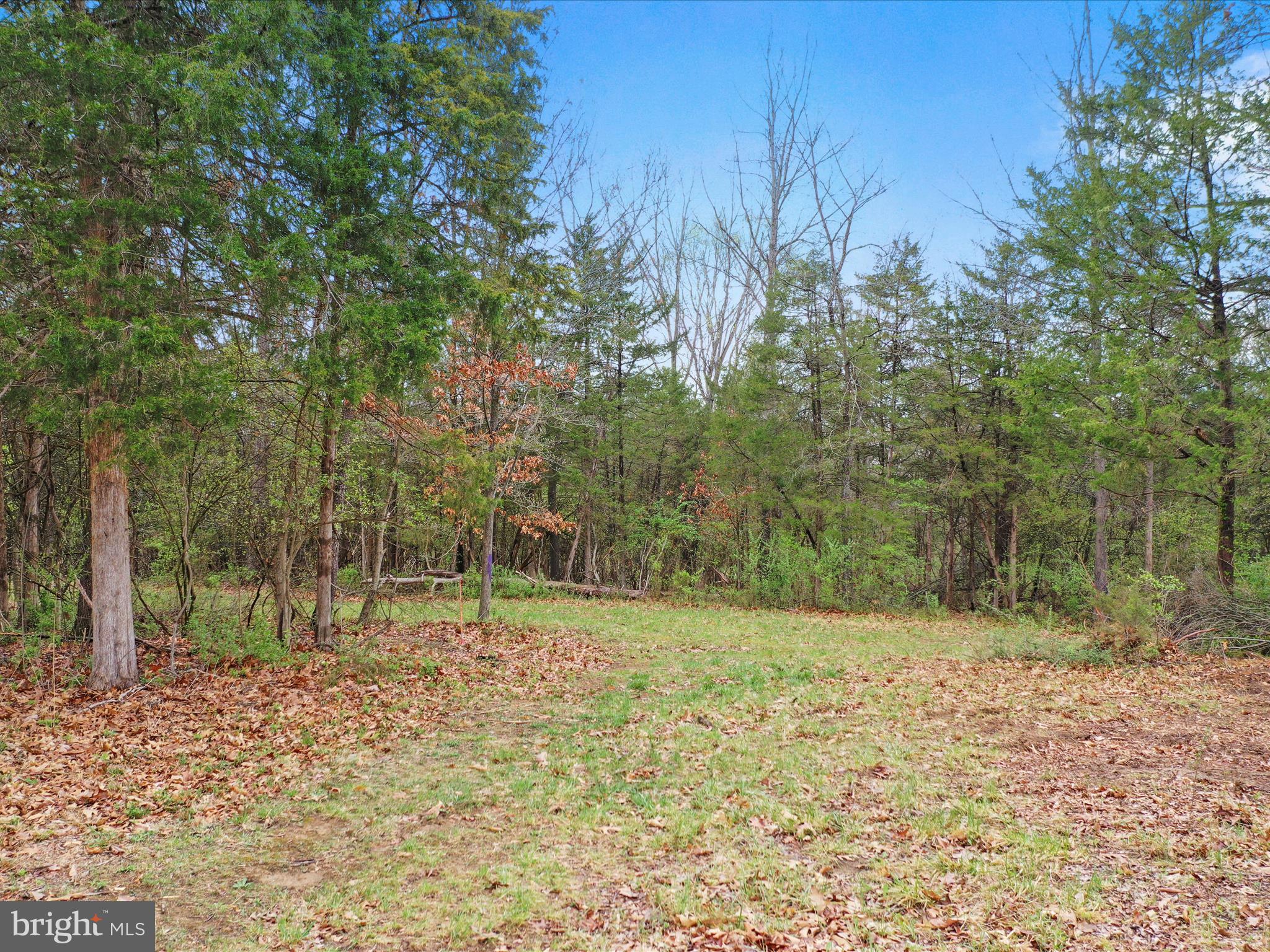 Summit Point Rd Summit Point Summit Point, WV 25446 - Photo 2 of 26 a view of a yard with trees