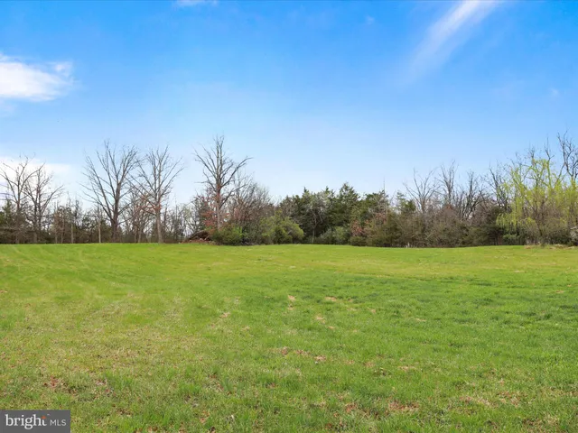 a view of a green field with trees in the background