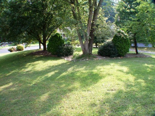 616 Banbury Road Knoxville, TN 37934 - Photo 16 of 16 Additional Photo