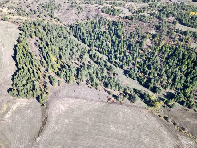 $497,950 | 0 Spring Valley Road, Troy, ID 83871