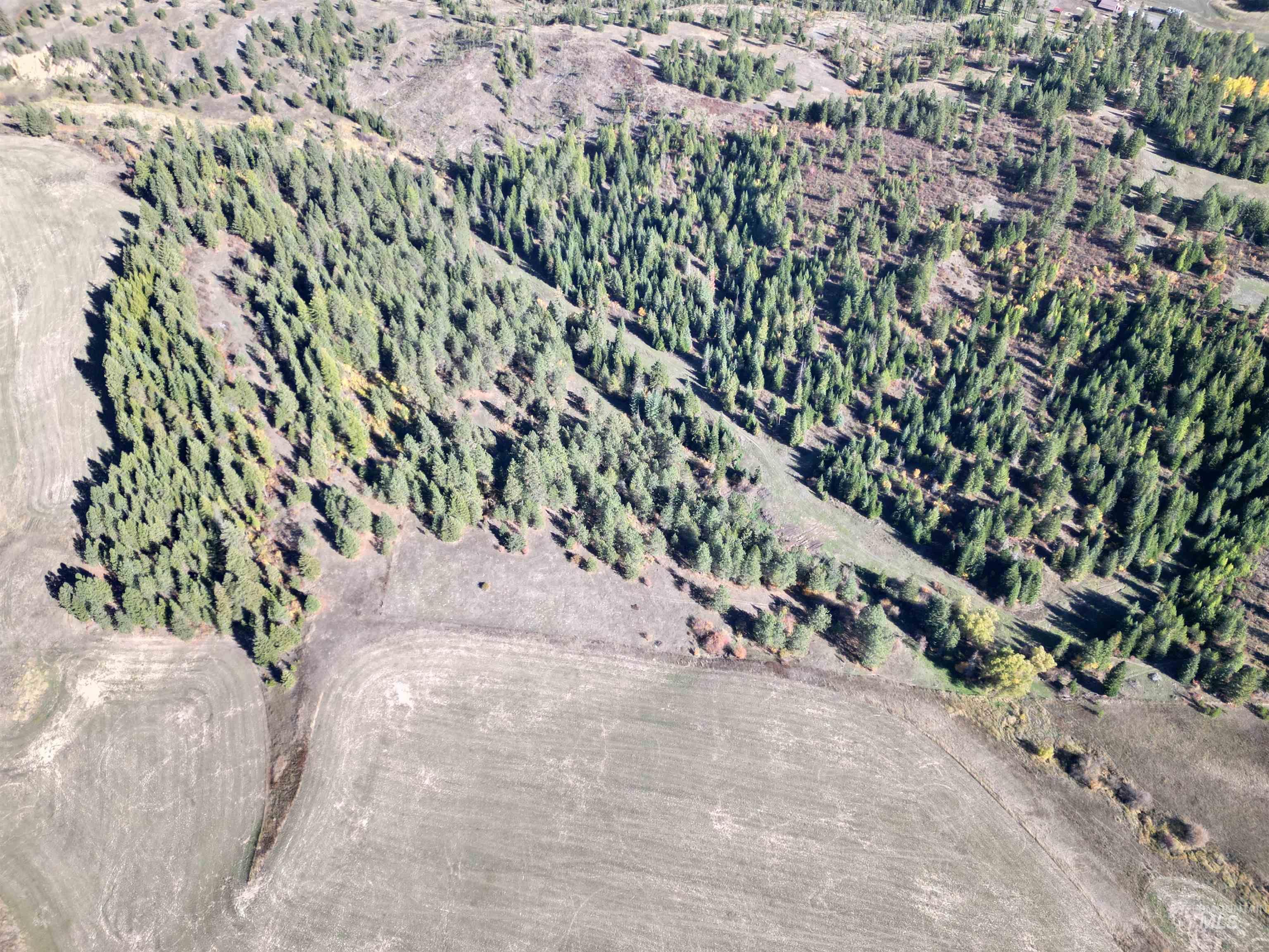 0 Spring Valley Road Troy, ID 83871 - Photo 15 of 21