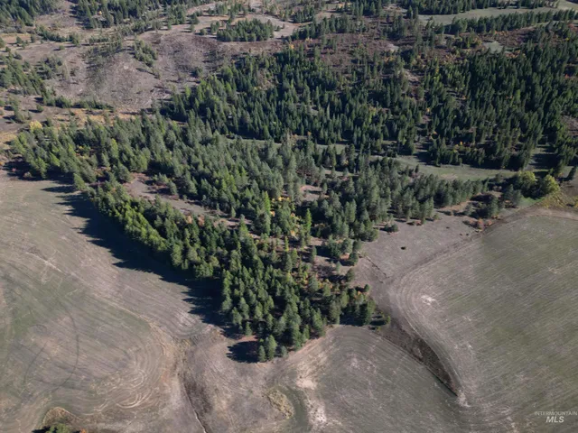 $497,950 | 0 Spring Valley Road, Troy, ID 83871