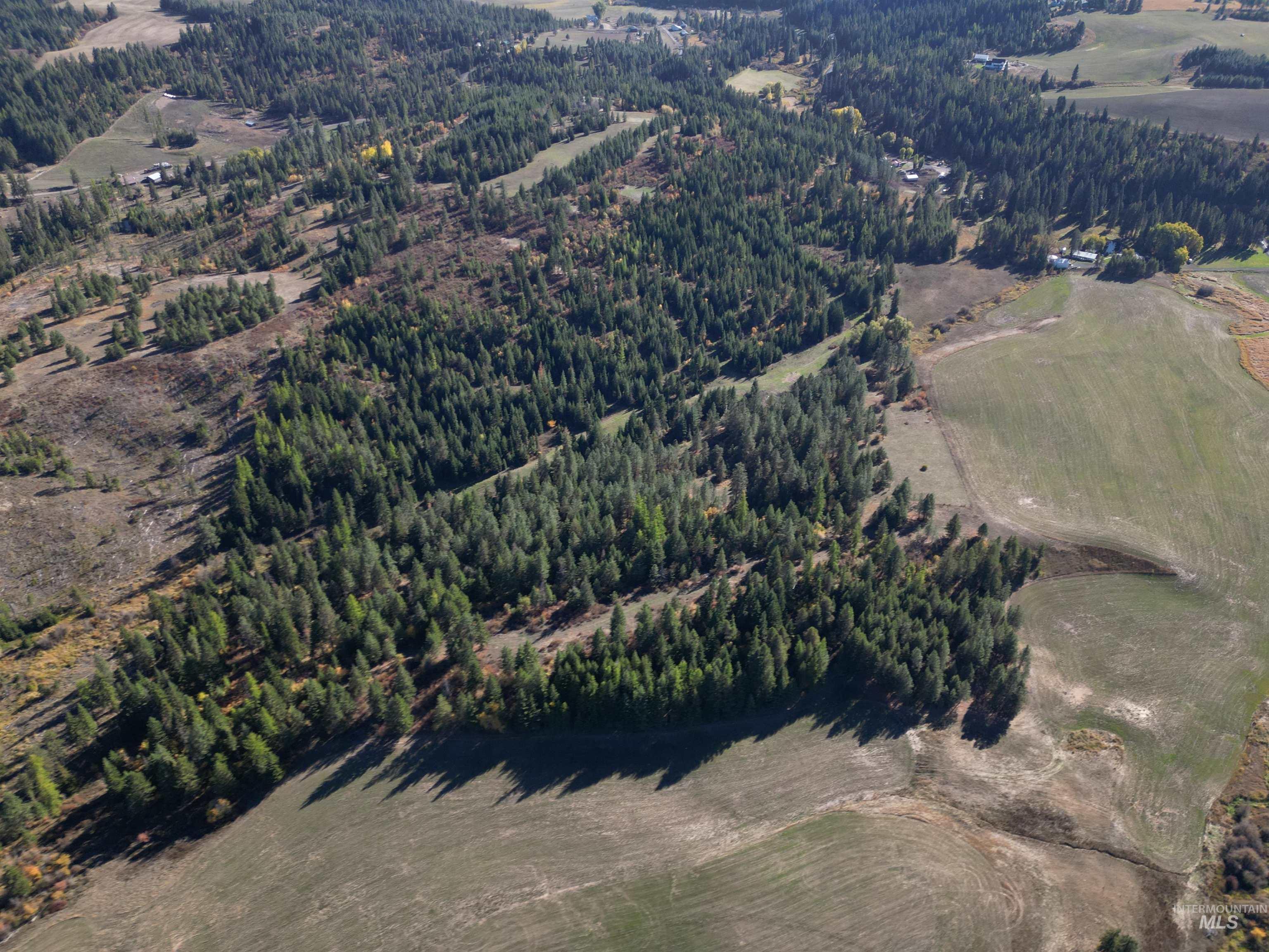 0 Spring Valley Road Troy, ID 83871 - Photo 17 of 21