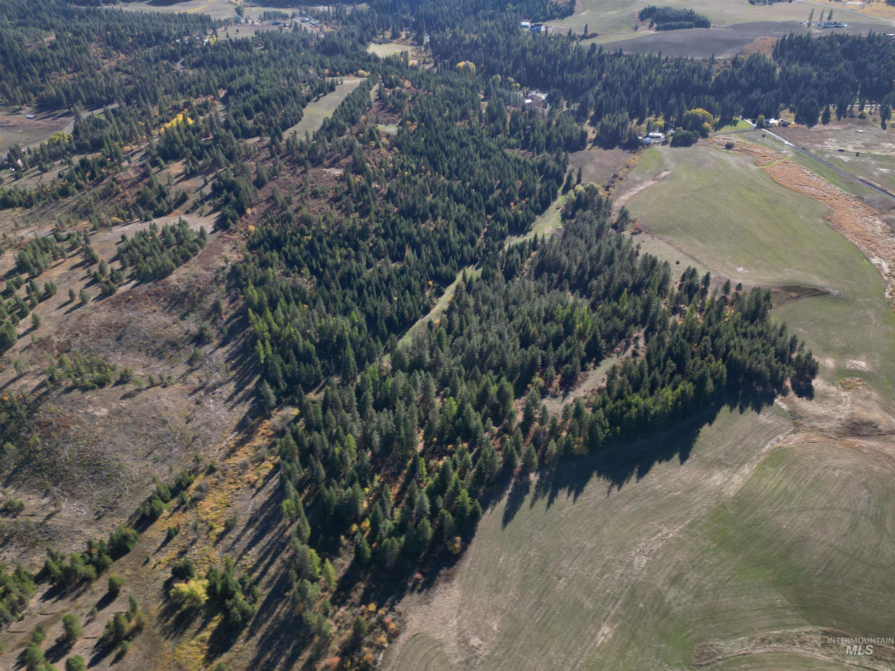 0 Spring Valley Road Troy, ID 83871 - Photo 18 of 21