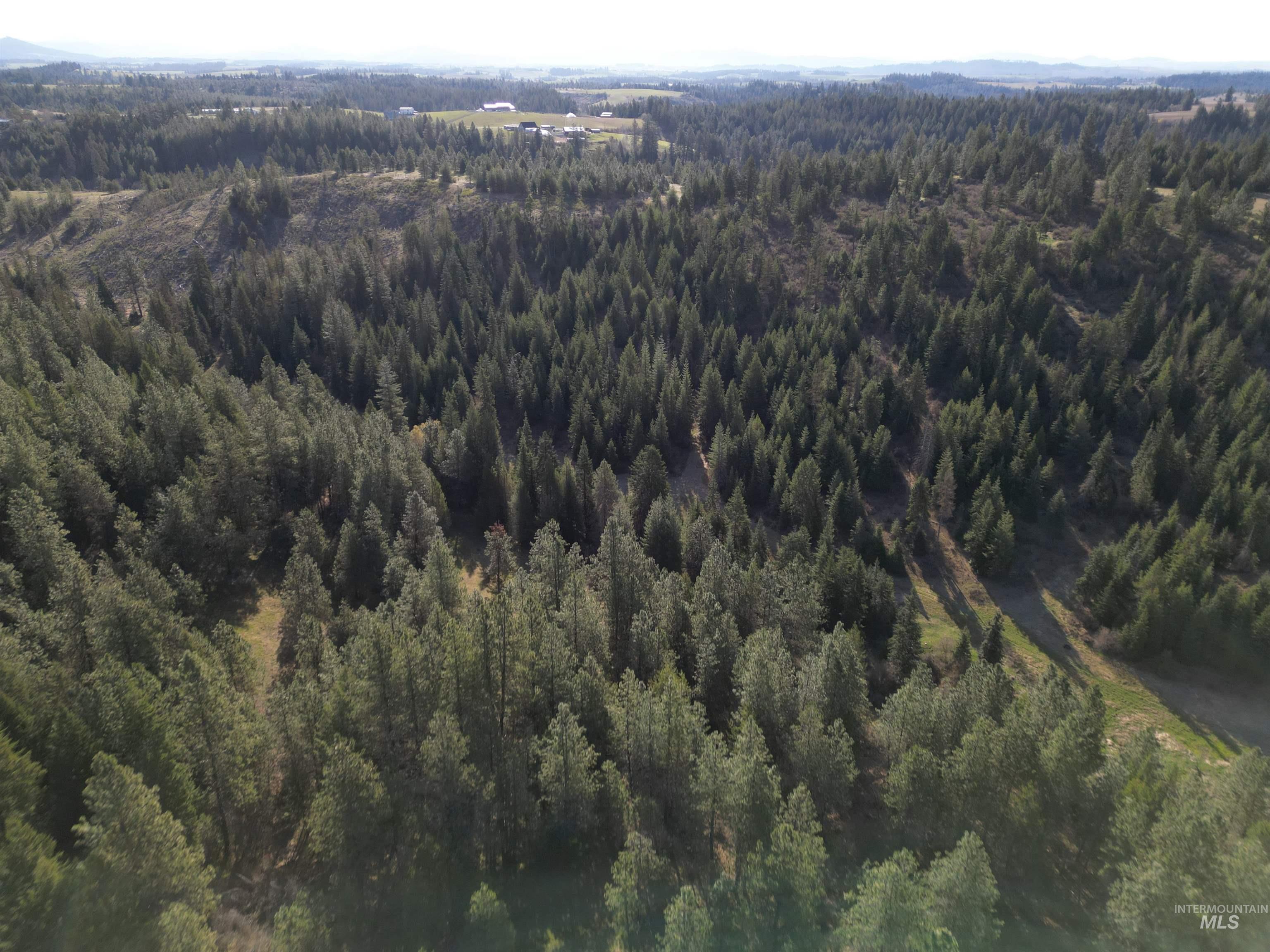 0 Spring Valley Road Troy, ID 83871 - Photo 19 of 21