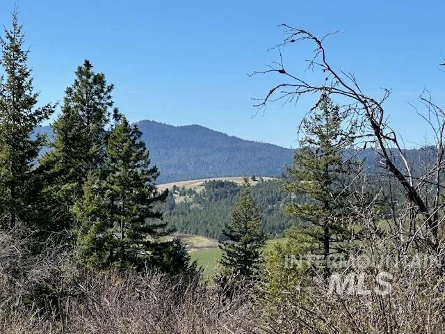 $497,950 | 0 Spring Valley Road, Troy, ID 83871