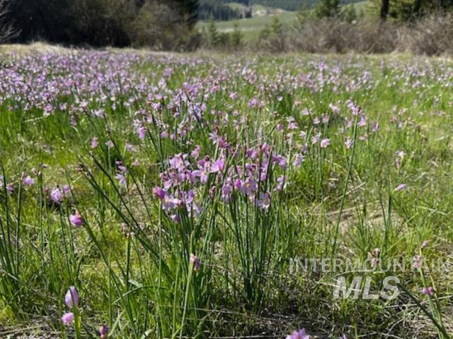 0 Spring Valley Road Troy, ID 83871 - Photo 7 of 21