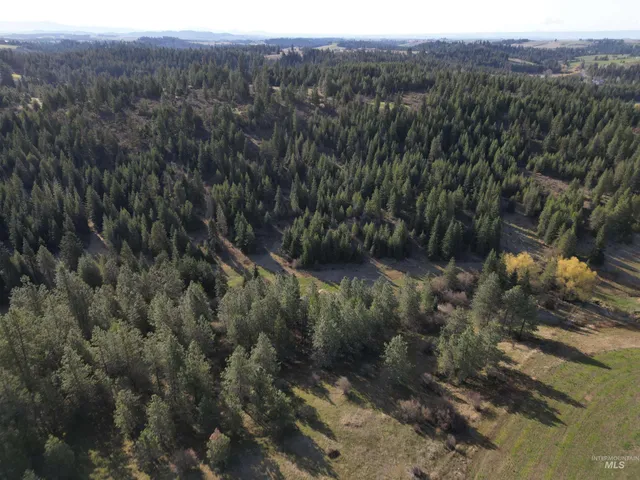 $497,950 | 0 Spring Valley Road, Troy, ID 83871