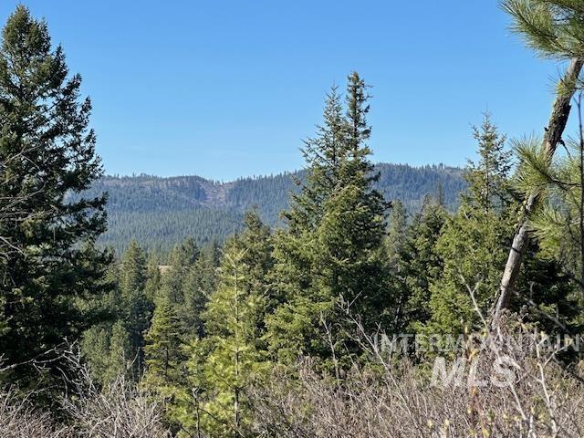 0 Spring Valley Road Troy, ID 83871 - Photo 9 of 21