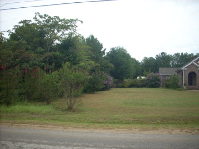 4031 Rolling Ridge Road Auburn, AL 36830 - Photo 4 of 6 Gallery Image 4