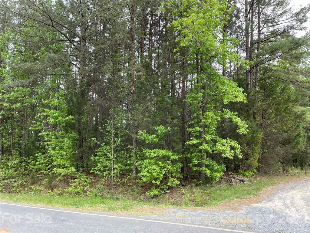 10700 Fink Road Mount Pleasant, NC 28124 - Photo 1 of 3 a view of a garden with plants