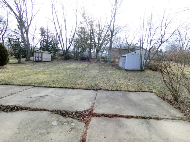 a view of a yard with a tree