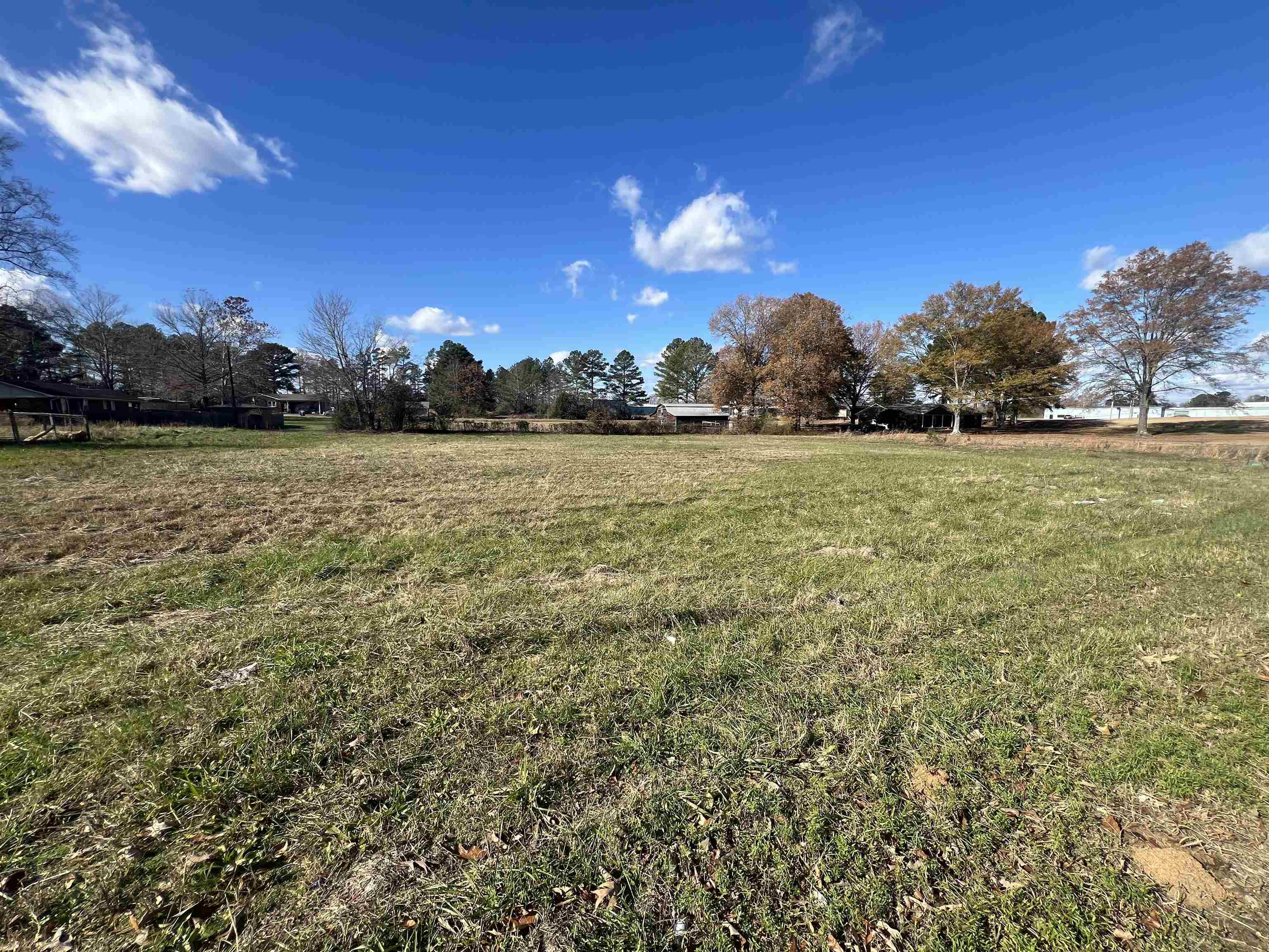 0 North Maple Street Adamsville, TN 38310 - Photo 1 of 3 View of yard featuring a rural view
