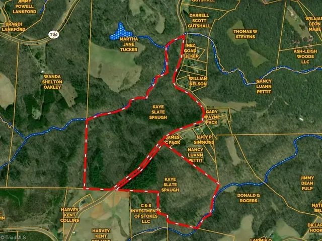 $590,000 | 1 Tom Mix Road, Westfield, NC 27053