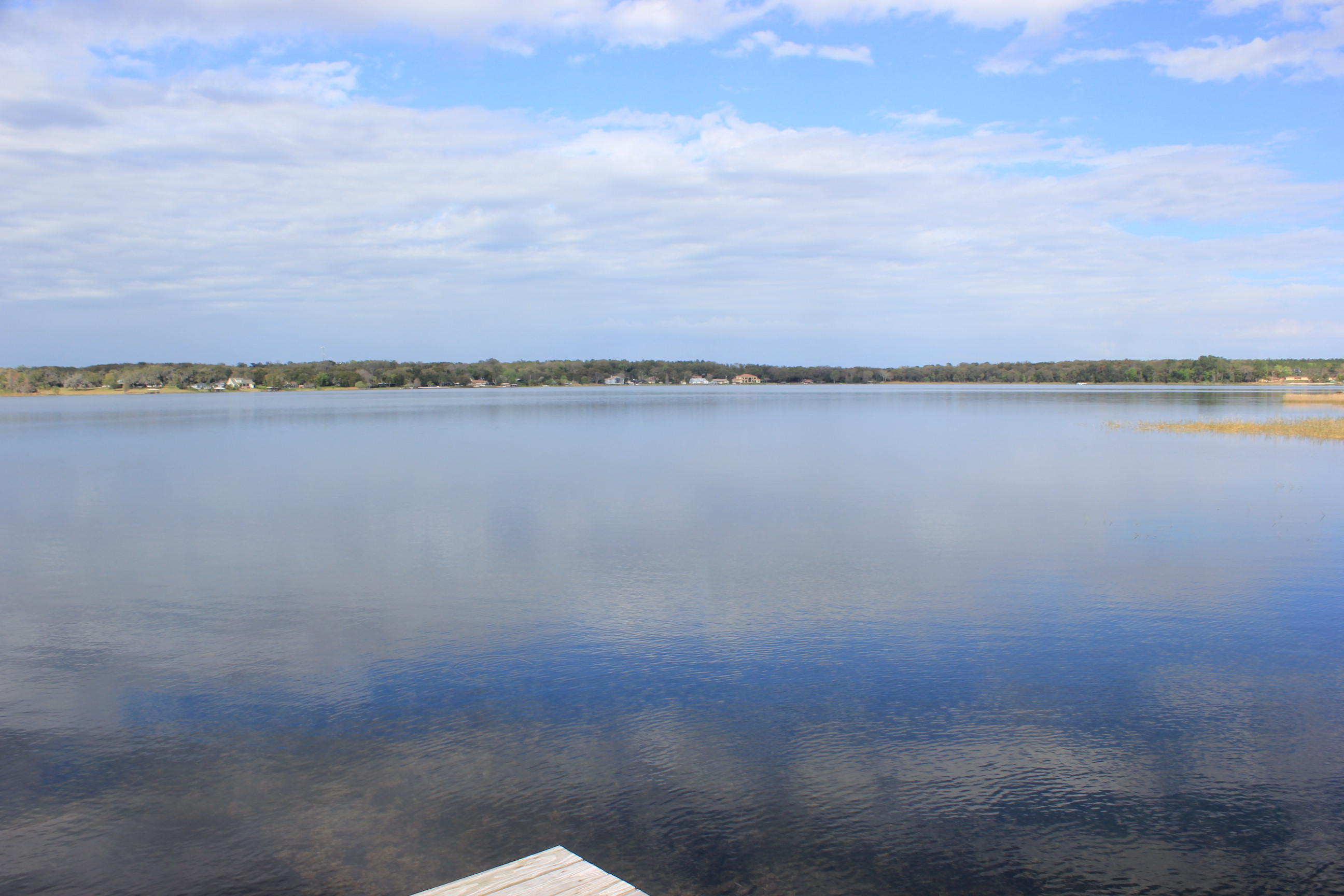 7727 Sadler Road Mount Dora, FL 32757 - Photo 19 of 64 17