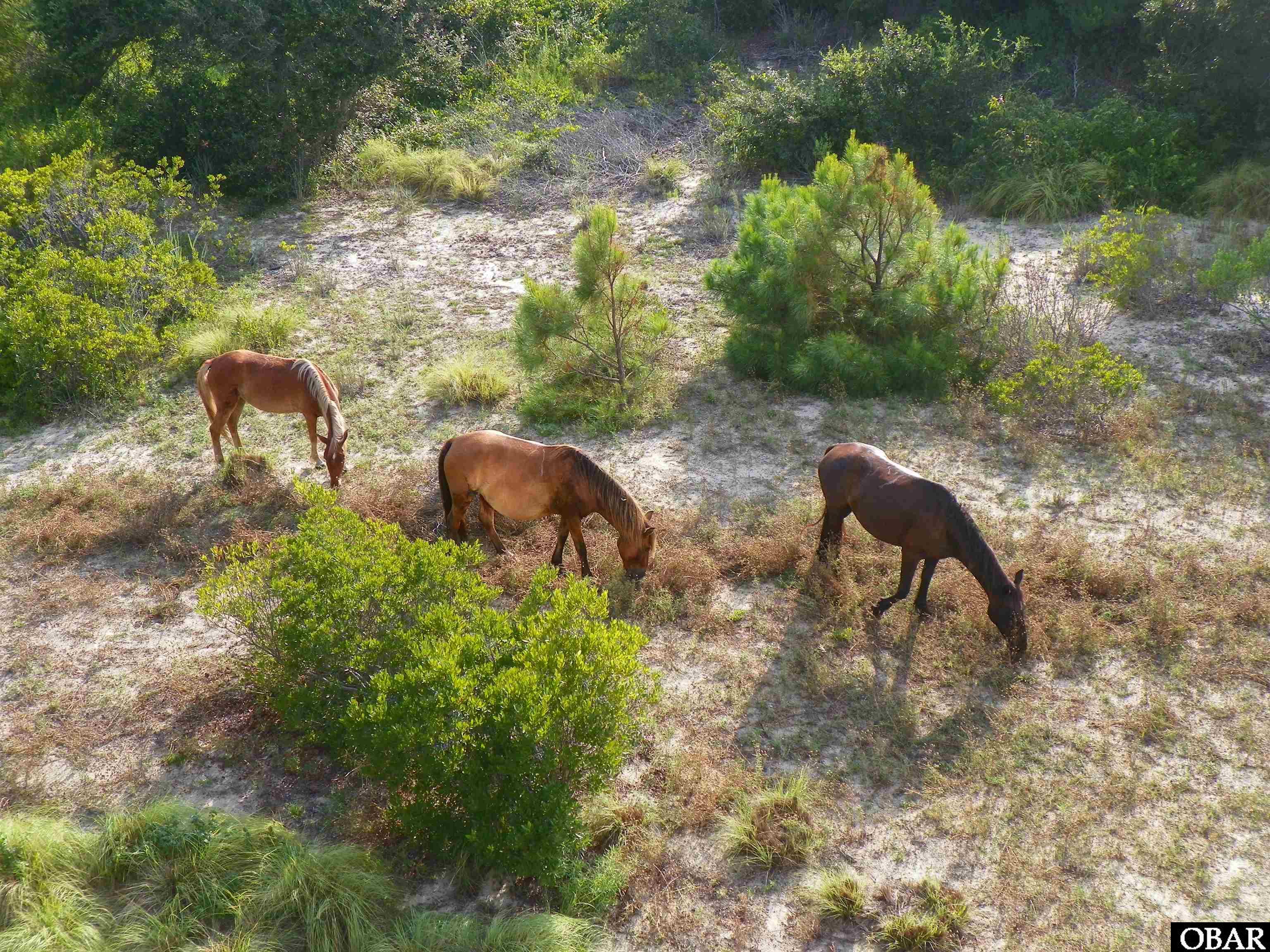 2366 Swan Island Road Corolla, NC 27927 - Photo 11 of 11