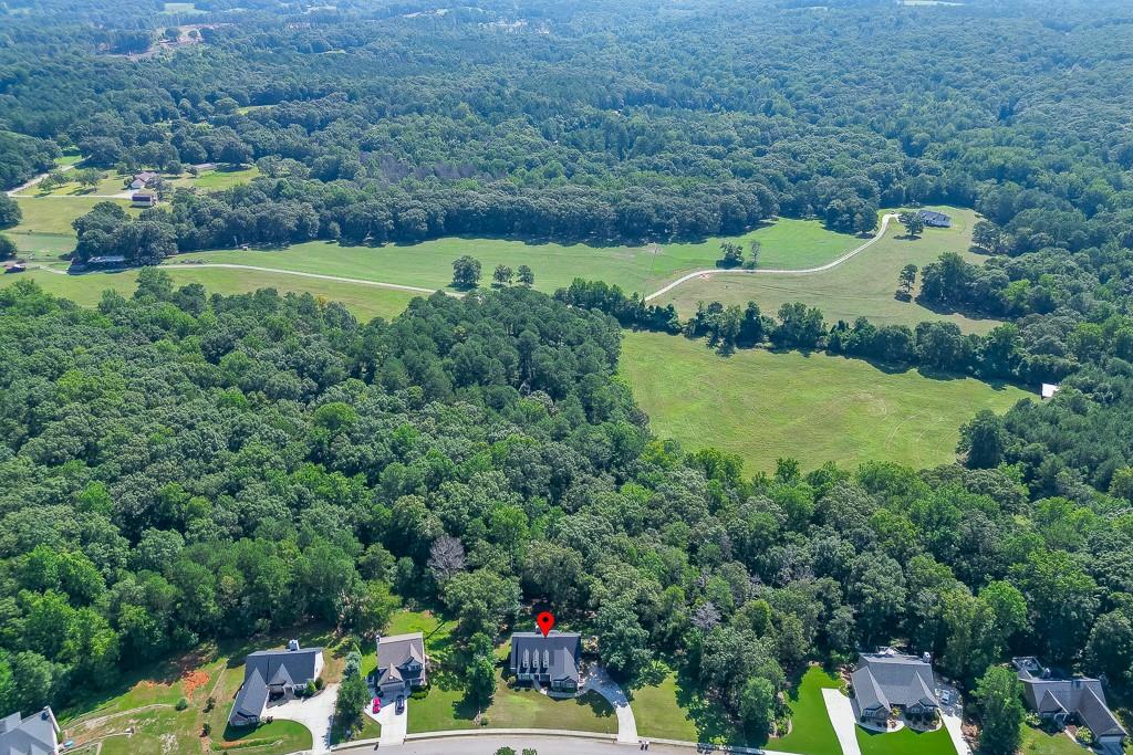 2858 Shadowstone Way Winder, GA 30680 - Photo 52 of 52 an aerial view of a houses with a yard and lake
