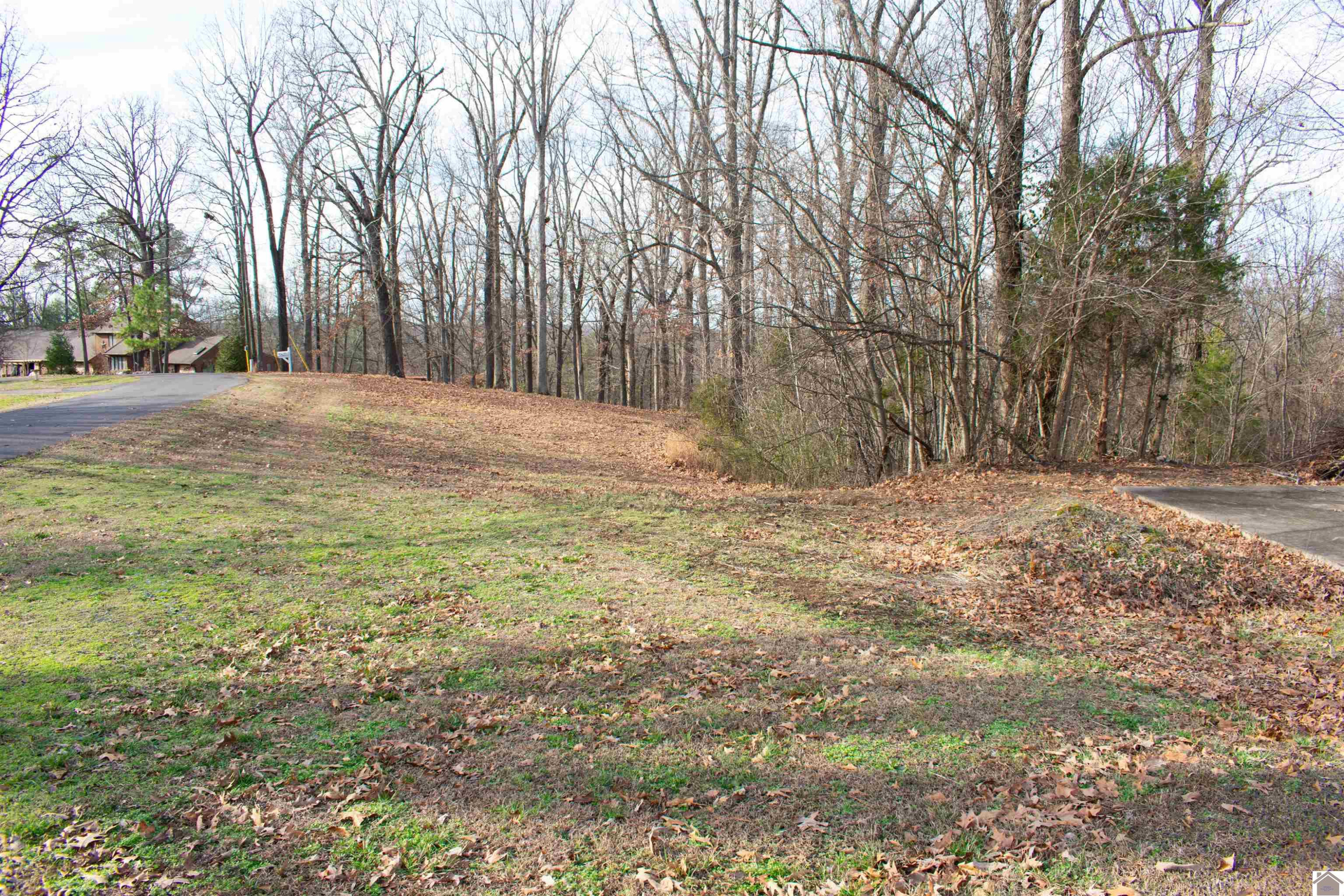 1535 Ridge Road Gilbertsville, KY 42044 - Photo 26 of 27 Photo 26