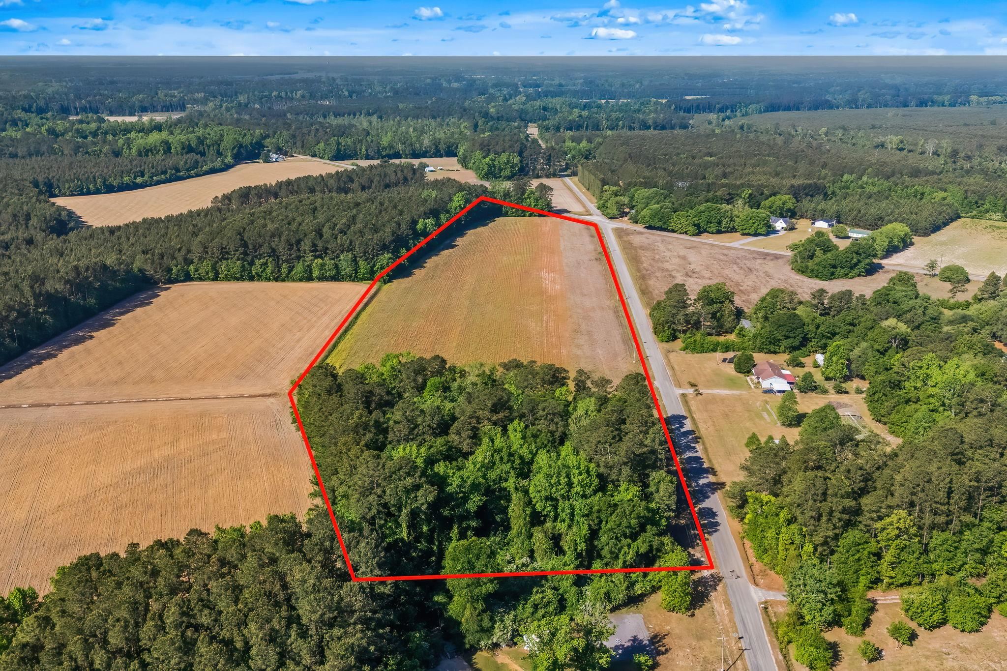 Tbd Ray Road Hemingway, SC 29554 - Photo 6 of 24