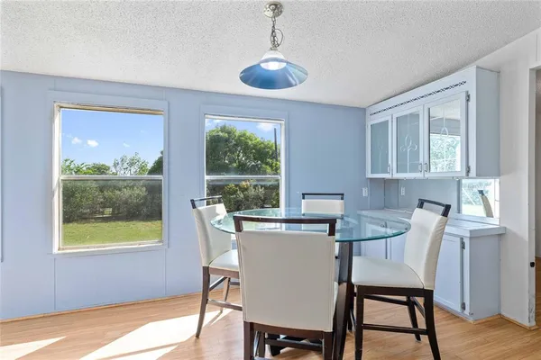 a view of a garden with plants and a bench
